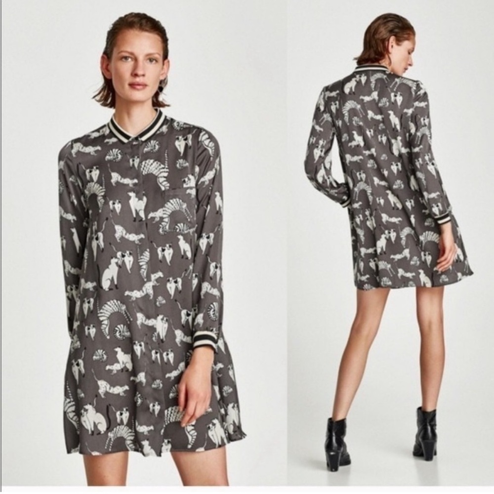 Zara Basic collection cat print dress Size XS